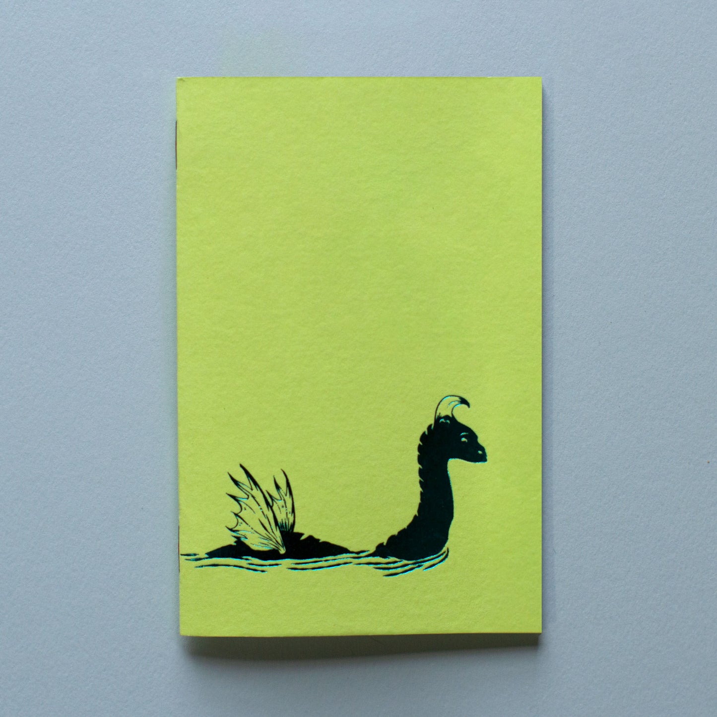 Nessie Notebook